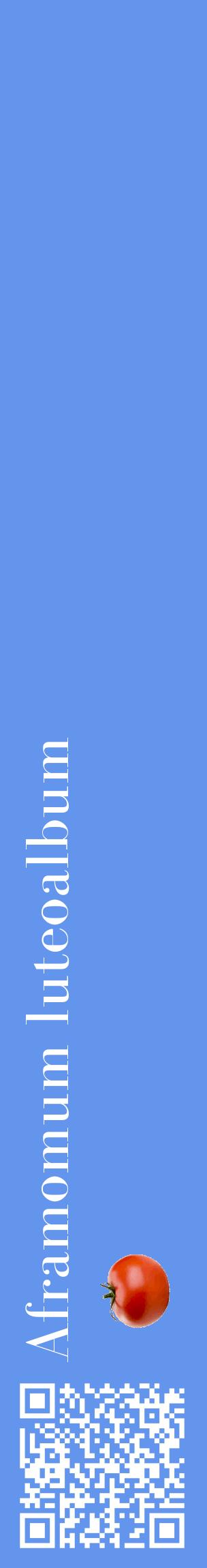 Étiquette de : Aframomum luteoalbum - format c - style blanche4_basiquebod avec qrcode et comestibilité simplifiée