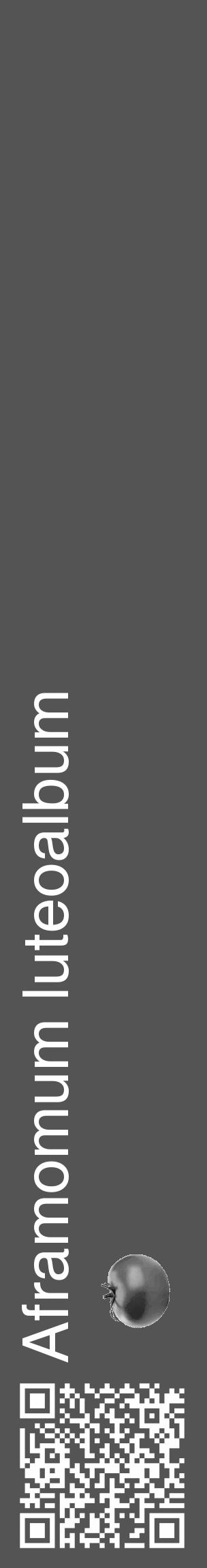 Étiquette de : Aframomum luteoalbum - format c - style blanche36_basique_basiquehel avec qrcode et comestibilité simplifiée - position verticale