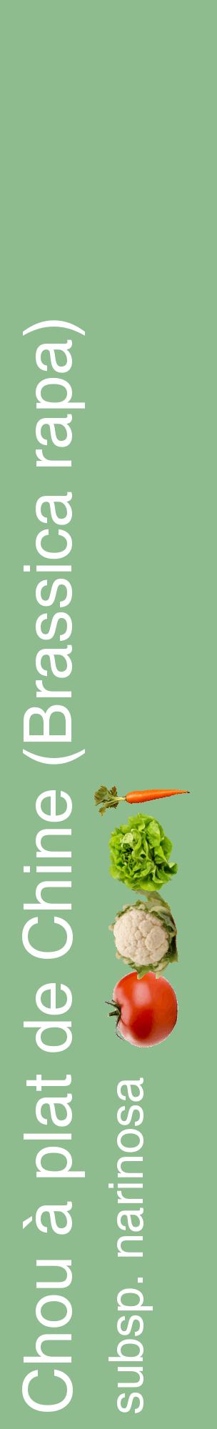 Étiquette de : Brassica rapa subsp. narinosa - format c - style blanche13_basiquehel avec comestibilité simplifiée