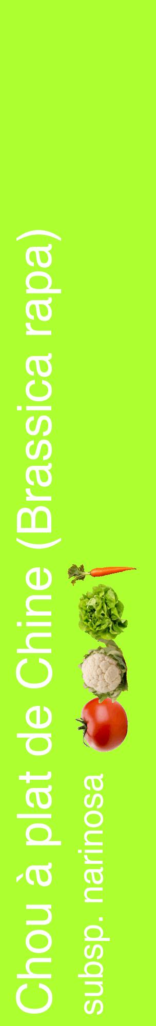 Étiquette de : Brassica rapa subsp. narinosa - format c - style blanche17_basiquehel avec comestibilité simplifiée