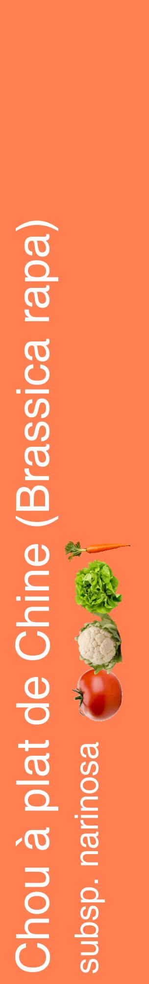 Étiquette de : Brassica rapa subsp. narinosa - format c - style blanche24_basiquehel avec comestibilité simplifiée