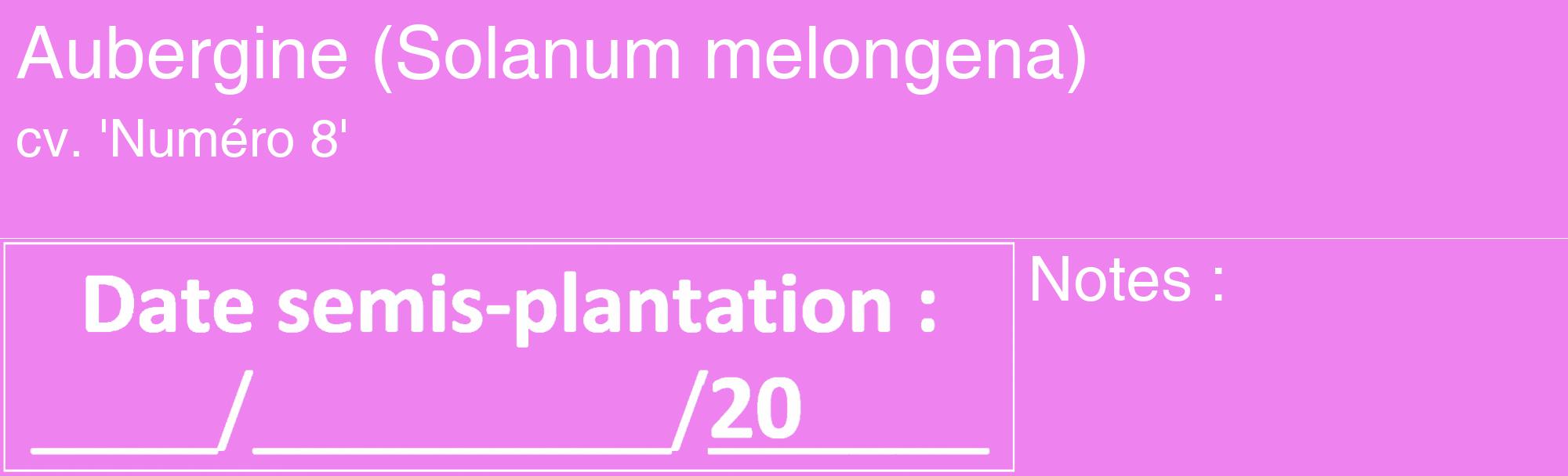 Étiquette de : Solanum melongena cv. 'Numéro 8' - format c - style blanche53_basique_basiquehel avec comestibilité
