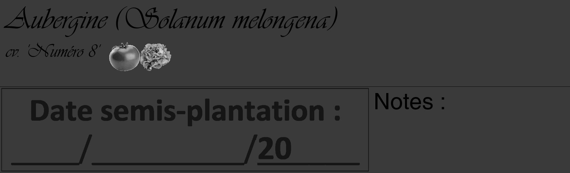 Étiquette de : Solanum melongena cv. 'Numéro 8' - format c - style noire8_basique_basiqueviv avec comestibilité simplifiée