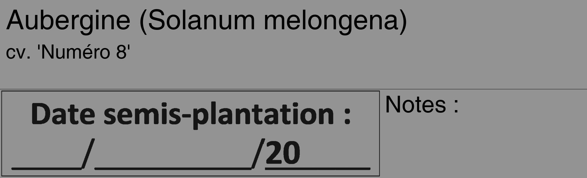 Étiquette de : Solanum melongena cv. 'Numéro 8' - format c - style noire44_basique_basiquehel avec comestibilité