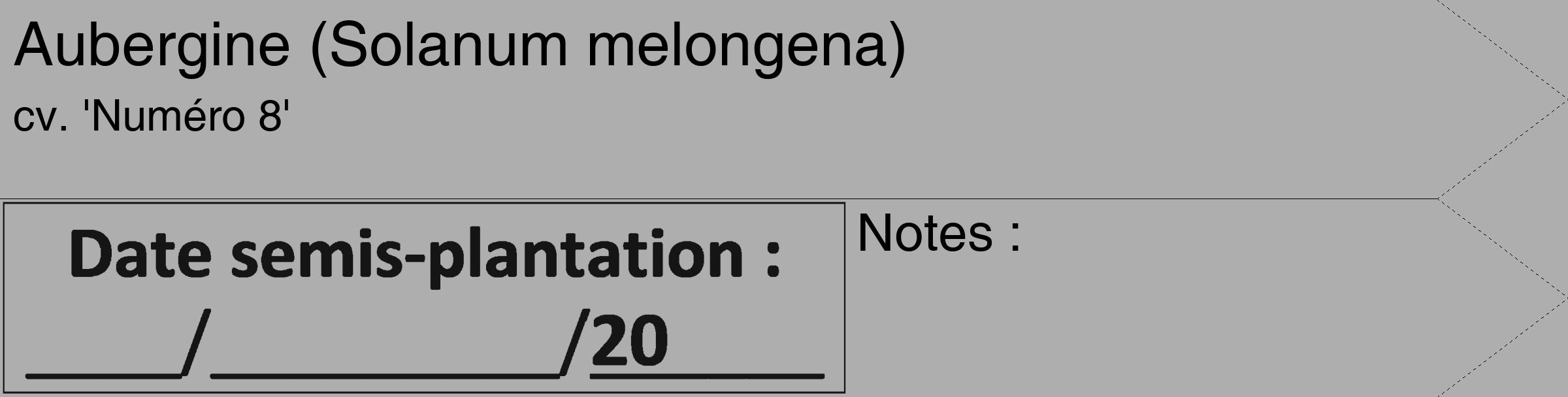 Étiquette de : Solanum melongena cv. 'Numéro 8' - format c - style noire53_simple_simplehel avec comestibilité
