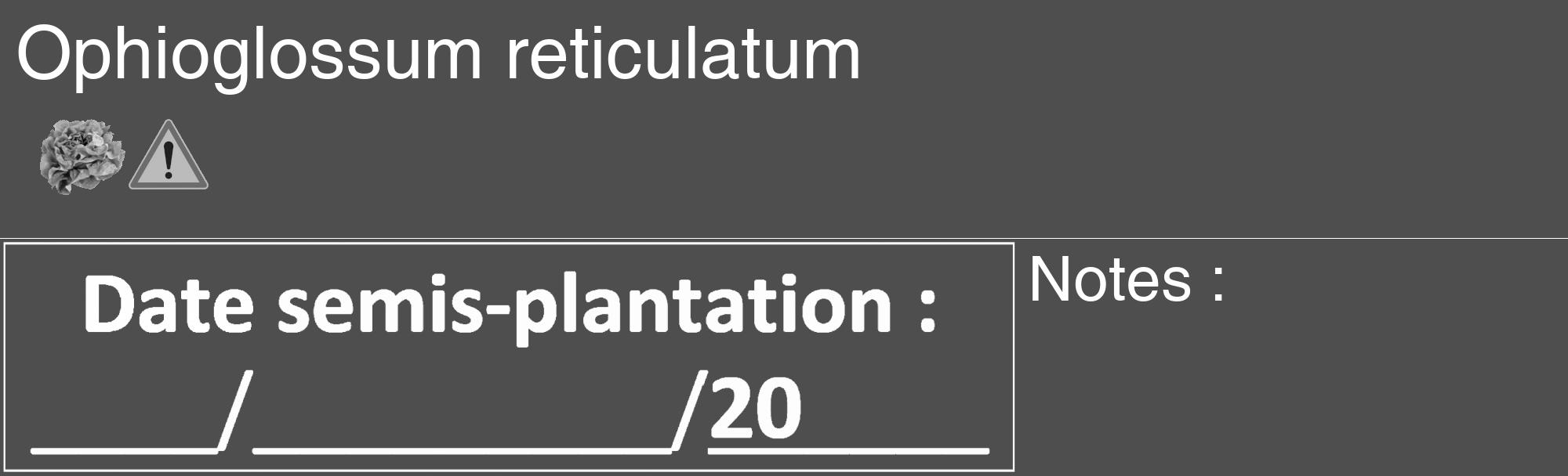Étiquette de : Ophioglossum reticulatum - format c - style blanche33_basique_basiquehel avec comestibilité simplifiée