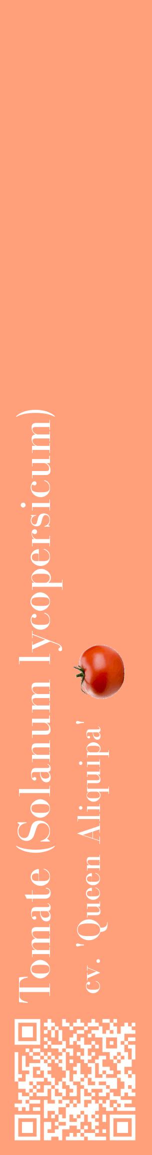 Étiquette de : Solanum lycopersicum cv. 'Queen Aliquipa' - format c - style blanche39_basiquebod avec qrcode et comestibilité simplifiée