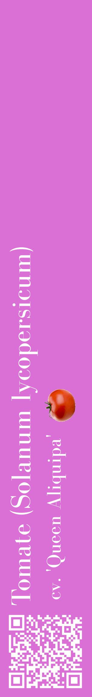 Étiquette de : Solanum lycopersicum cv. 'Queen Aliquipa' - format c - style blanche52_basiquebod avec qrcode et comestibilité simplifiée