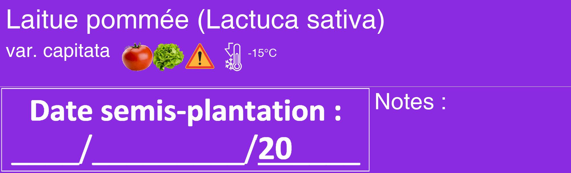 Étiquette de : Lactuca sativa var. capitata - format c - style blanche49_basique_basiquehel avec comestibilité simplifiée