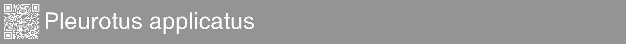 Étiquette de : Pleurotus applicatus - format a - style blanche44hel avec qrcode et comestibilité