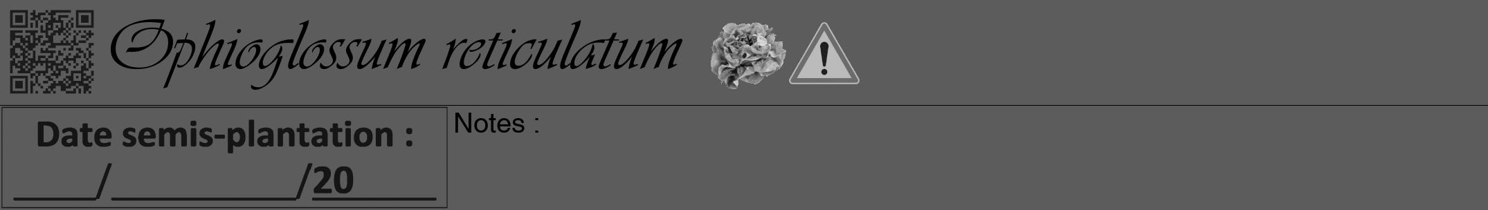 Étiquette de : Ophioglossum reticulatum - format a - style noire49viv avec qrcode et comestibilité simplifiée