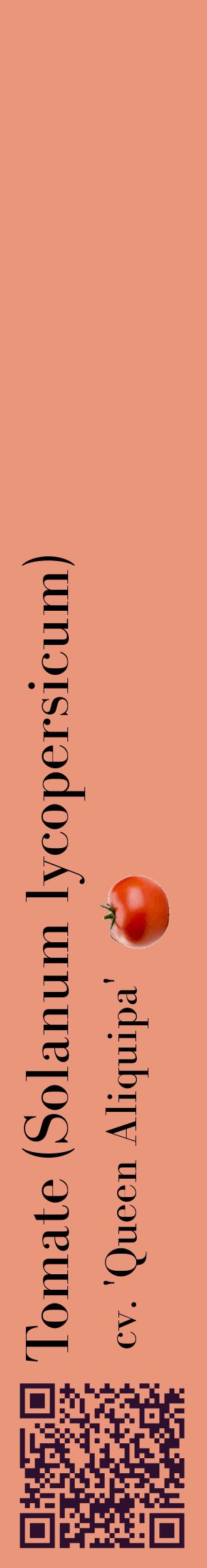 Étiquette de : Solanum lycopersicum cv. 'Queen Aliquipa' - format c - style noire37_basiquebod avec qrcode et comestibilité simplifiée