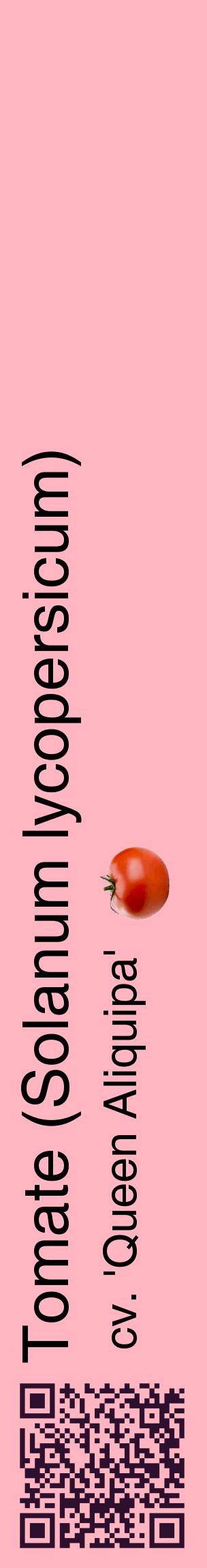 Étiquette de : Solanum lycopersicum cv. 'Queen Aliquipa' - format c - style noire41_basiquehel avec qrcode et comestibilité simplifiée