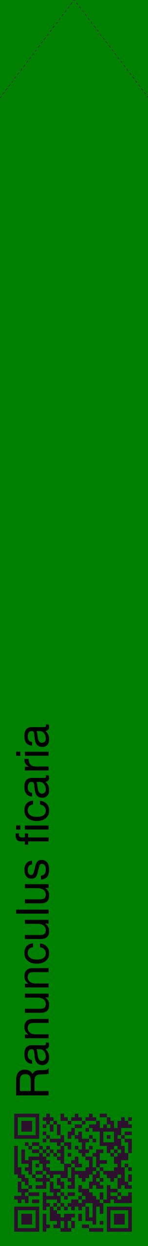 Étiquette de : Ranunculus ficaria - format c - style noire9_simplehel avec qrcode et comestibilité