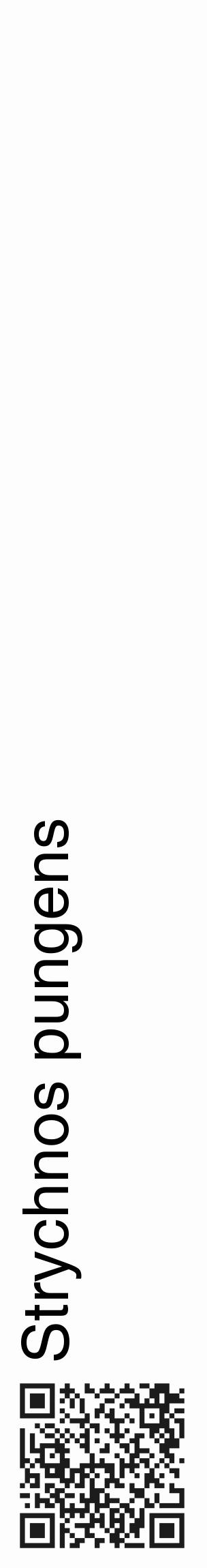 Étiquette de : Strychnos pungens - format c - style noire19_basique_basiquehel avec qrcode et comestibilité - position verticale