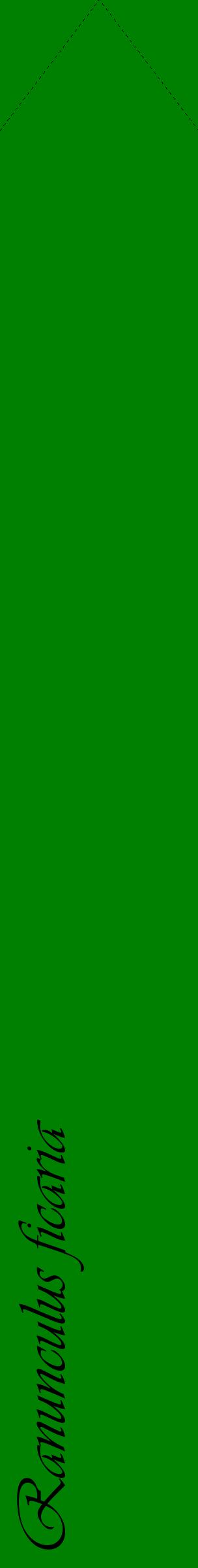 Étiquette de : Ranunculus ficaria - format c - style noire9_simpleviv avec comestibilité