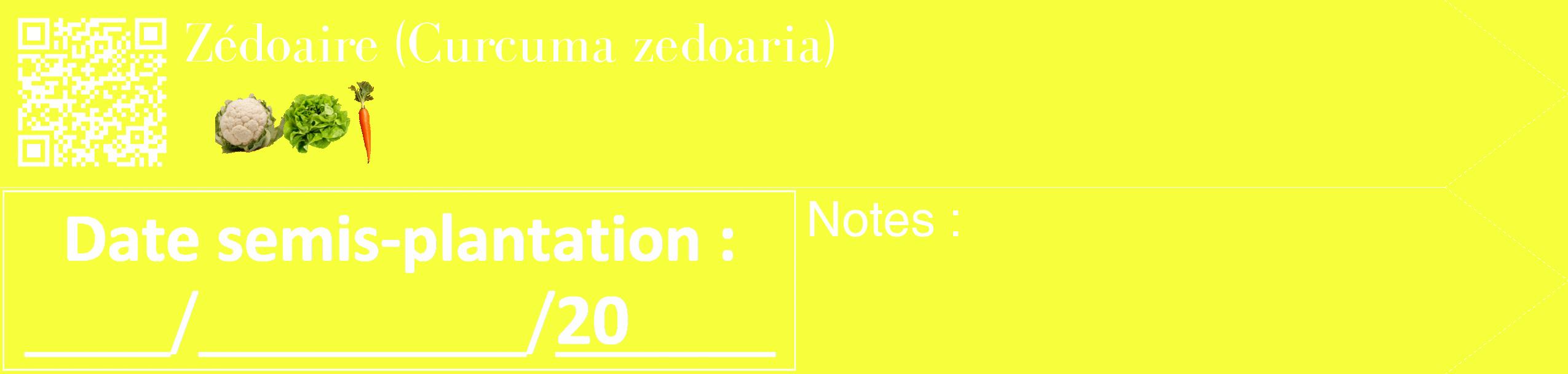 Étiquette de : Curcuma zedoaria - format c - style blanche18_simple_simplebod avec qrcode et comestibilité simplifiée