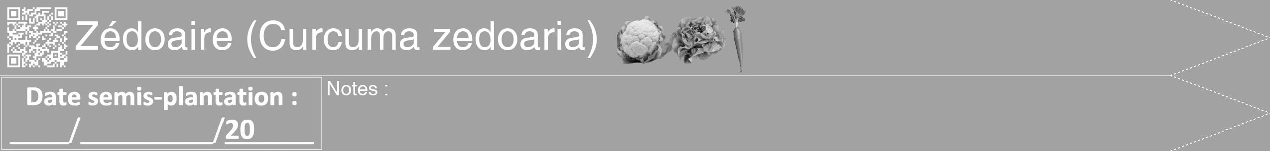 Étiquette de : Curcuma zedoaria - format b - style blanche38hel avec qrcode et comestibilité simplifiée