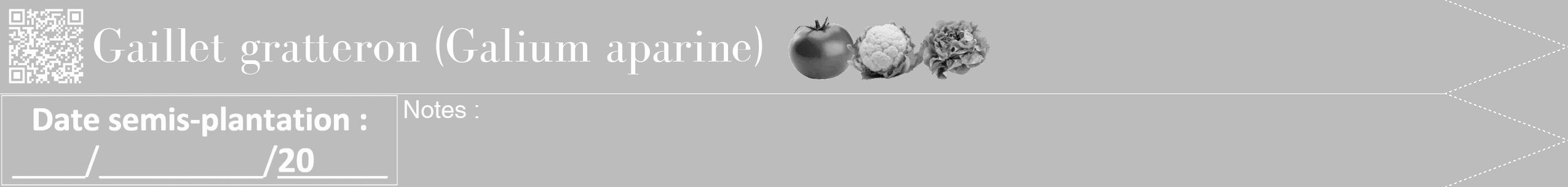 Étiquette de : Galium aparine - format b - style blanche1bod avec qrcode et comestibilité simplifiée