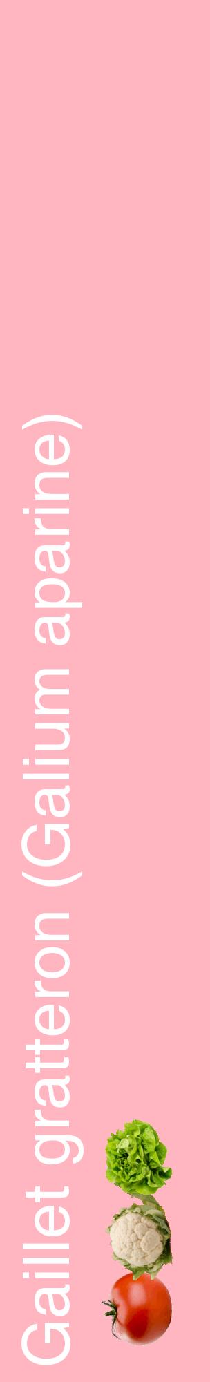 Étiquette de : Galium aparine - format c - style blanche41_basiquehel avec comestibilité simplifiée