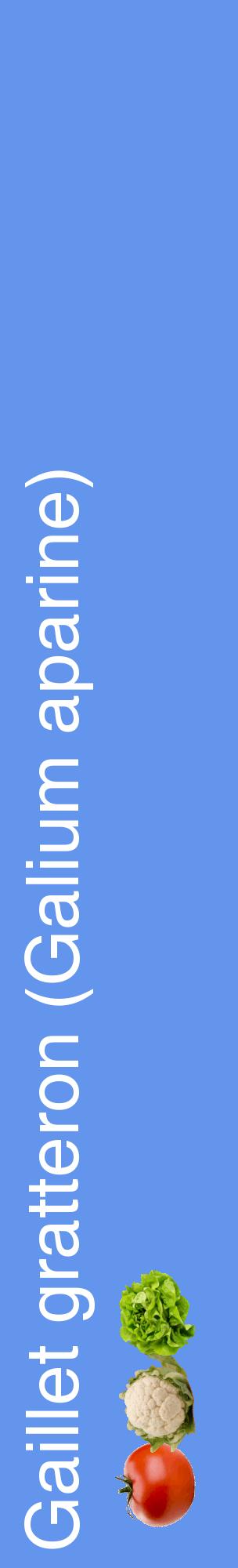Étiquette de : Galium aparine - format c - style blanche4_basiquehel avec comestibilité simplifiée