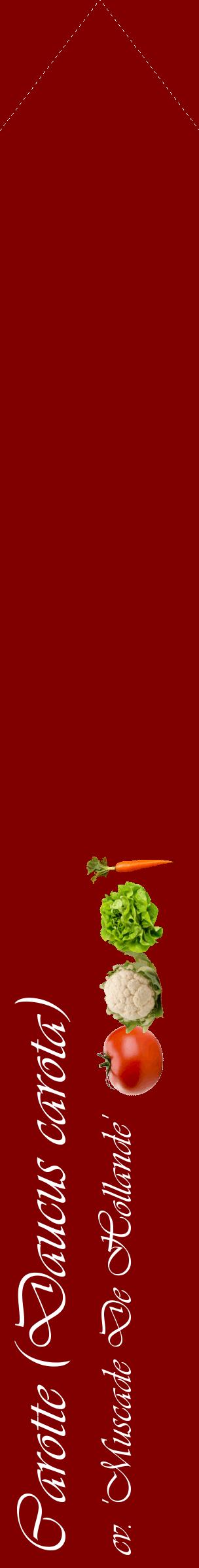 Étiquette de : Daucus carota cv. 'Muscade De Hollande' - format c - style blanche29_simpleviv avec comestibilité simplifiée