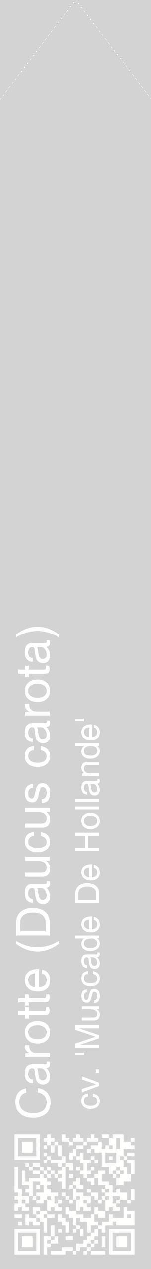 Étiquette de : Daucus carota cv. 'Muscade De Hollande' - format c - style blanche56_simplehel avec qrcode et comestibilité