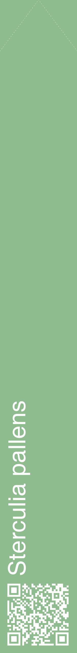 Étiquette de : Sterculia pallens - format c - style blanche13_simplehel avec qrcode et comestibilité