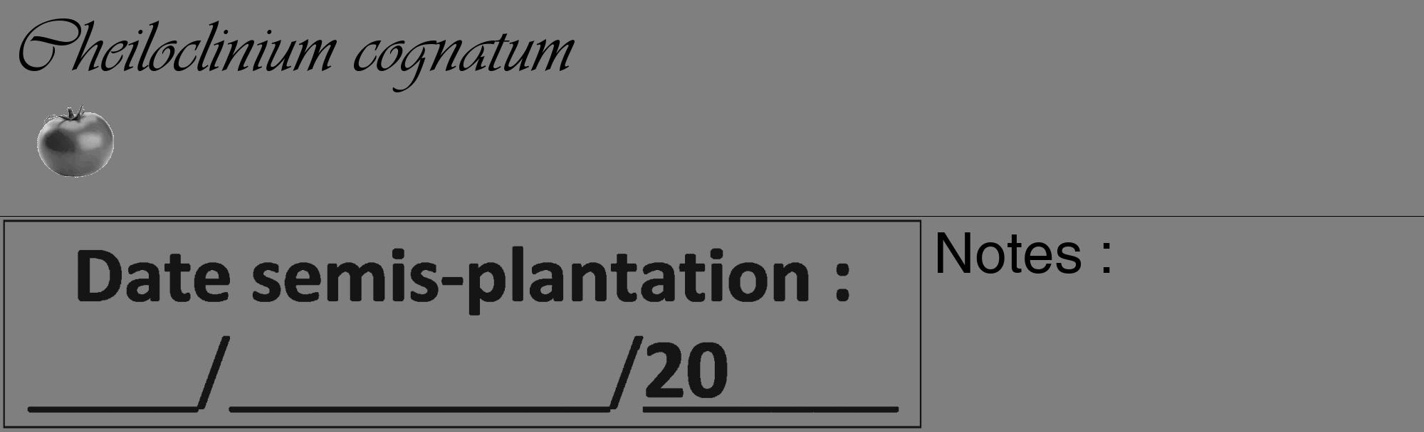 Étiquette de : Cheiloclinium cognatum - format c - style noire31_basique_basiqueviv avec comestibilité simplifiée