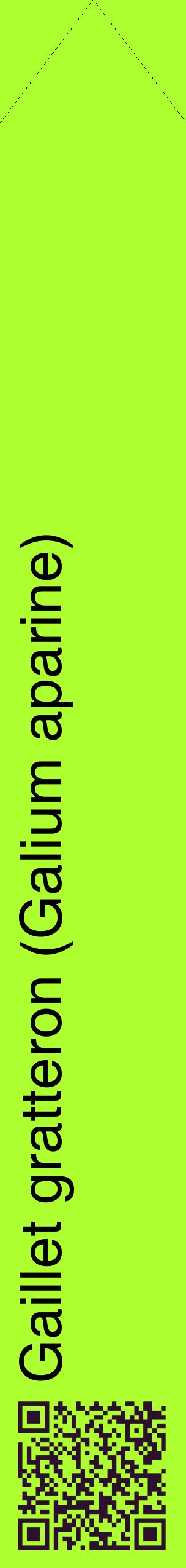 Étiquette de : Galium aparine - format c - style noire17_simplehel avec qrcode et comestibilité