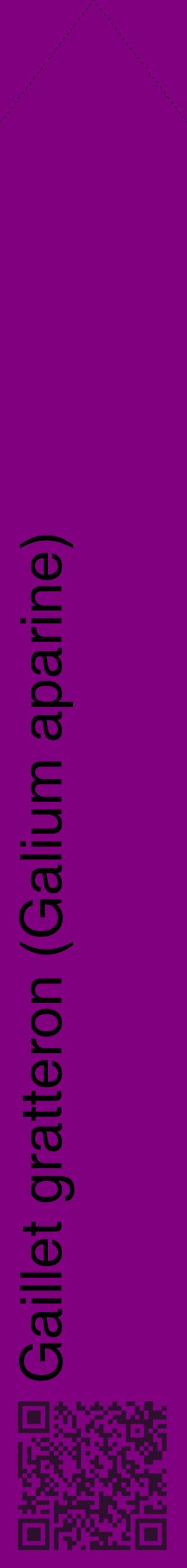 Étiquette de : Galium aparine - format c - style noire46_simplehel avec qrcode et comestibilité