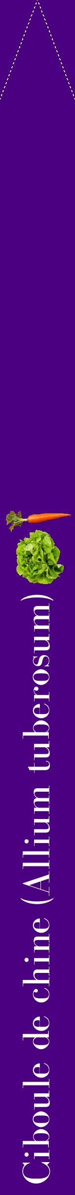 Étiquette de : Allium tuberosum - format b - style blanche47bod avec comestibilité simplifiée