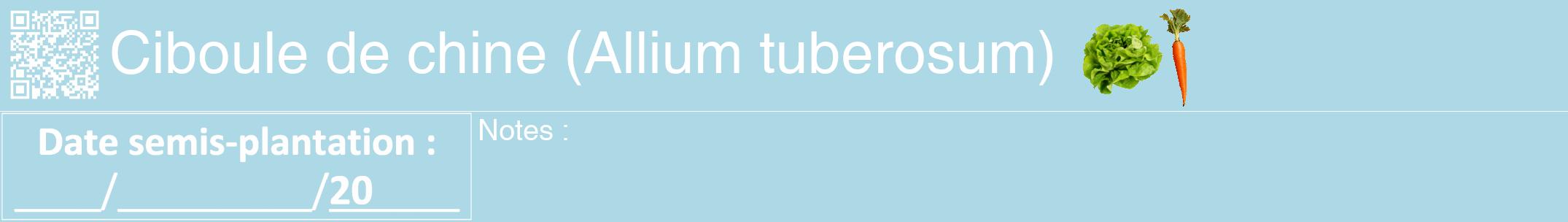 Étiquette de : Allium tuberosum - format a - style blanche0hel avec qrcode et comestibilité simplifiée