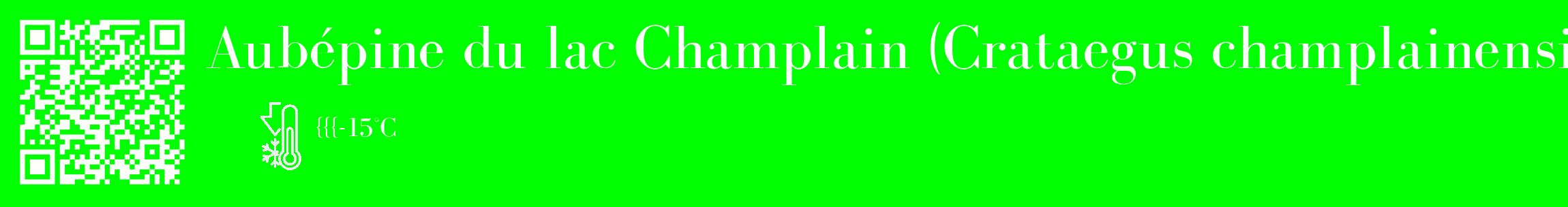Étiquette de : Crataegus champlainensis - format c - style blanche16_basique_basiquebod avec qrcode et comestibilité
