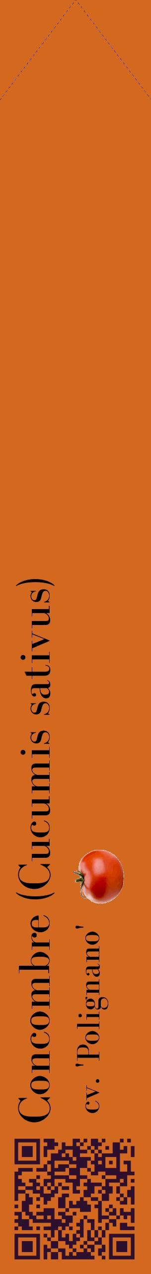 Étiquette de : Cucumis sativus cv. 'Polignano' - format c - style noire31_simplebod avec qrcode et comestibilité simplifiée