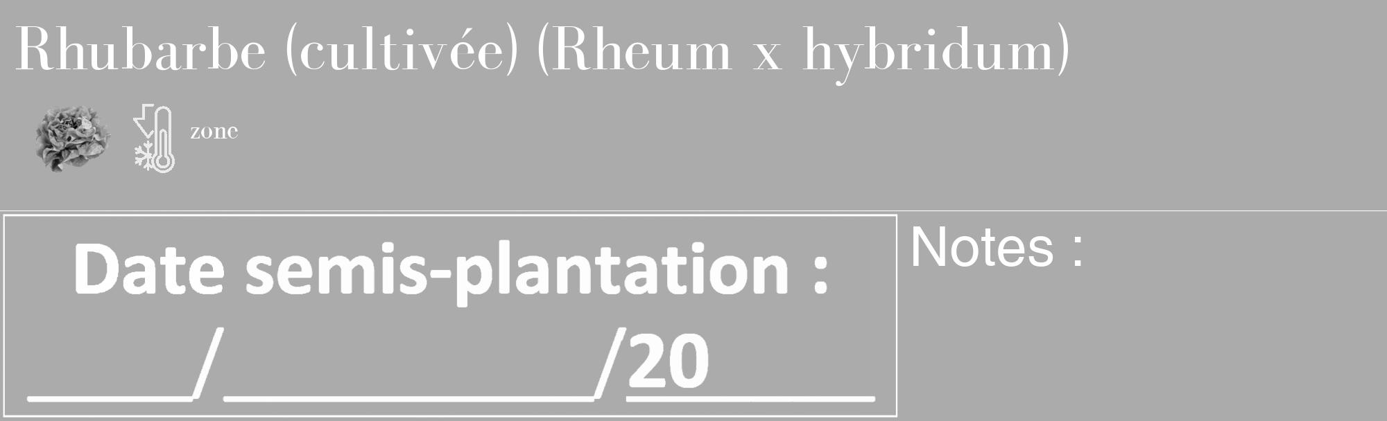 Étiquette de : Rheum x hybridum - format c - style blanche37_basique_basiquebod avec comestibilité simplifiée