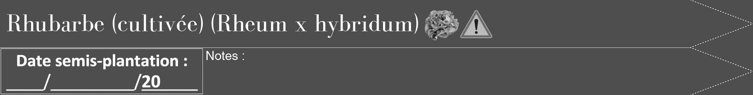Étiquette de : Rheum x hybridum - format b - style blanche33bod avec comestibilité simplifiée