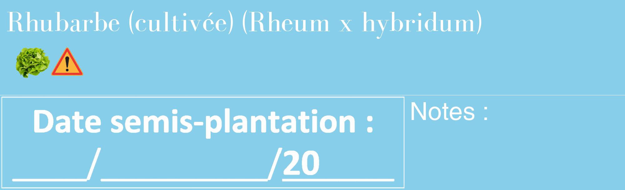 Étiquette de : Rheum x hybridum - format c - style blanche1_basique_basiquebod avec comestibilité simplifiée