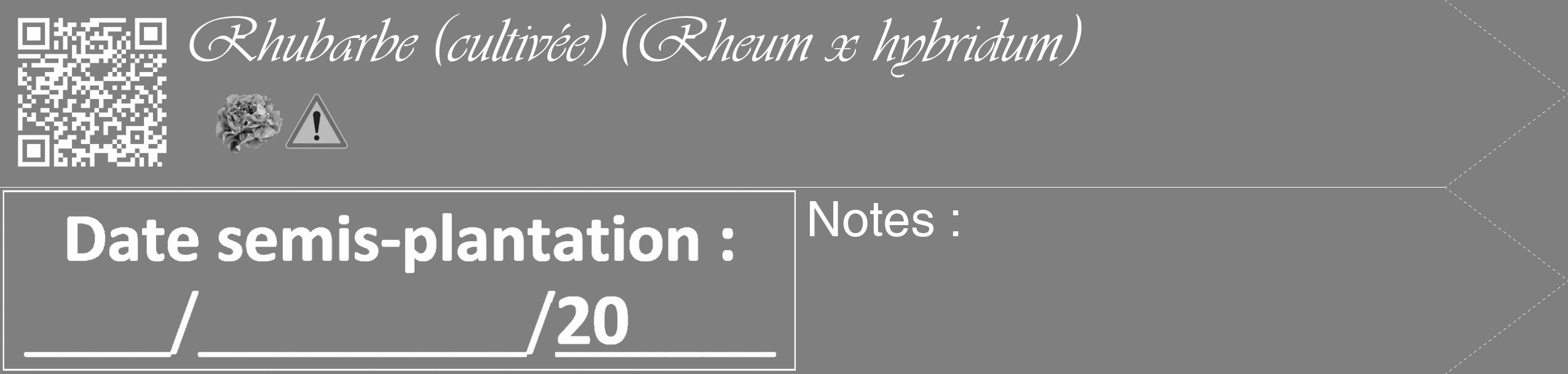 Étiquette de : Rheum x hybridum - format c - style blanche57_simple_simpleviv avec qrcode et comestibilité simplifiée