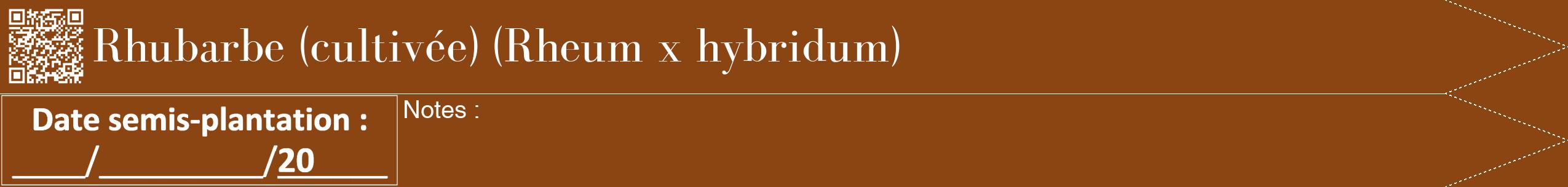 Étiquette de : Rheum x hybridum - format b - style blanche30bod avec qrcode et comestibilité