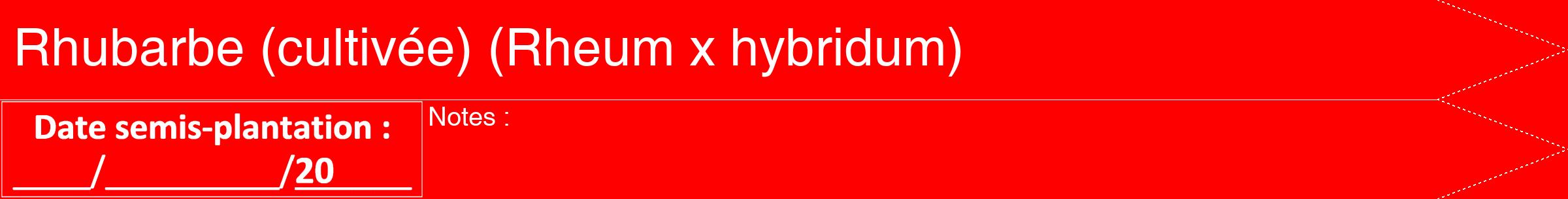 Étiquette de : Rheum x hybridum - format b - style blanche27hel avec comestibilité