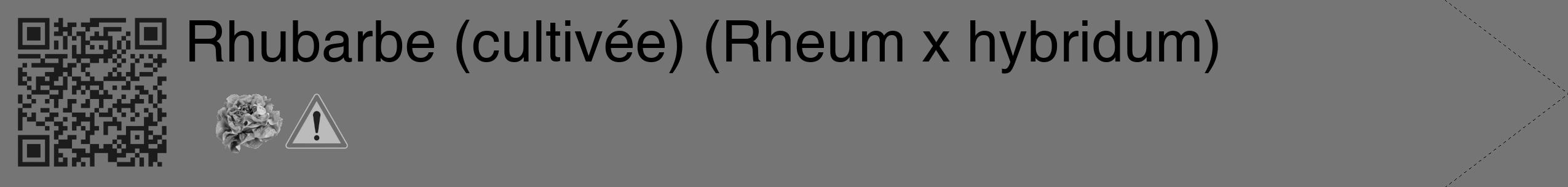 Étiquette de : Rheum x hybridum - format c - style noire5_simple_simplehel avec qrcode et comestibilité simplifiée