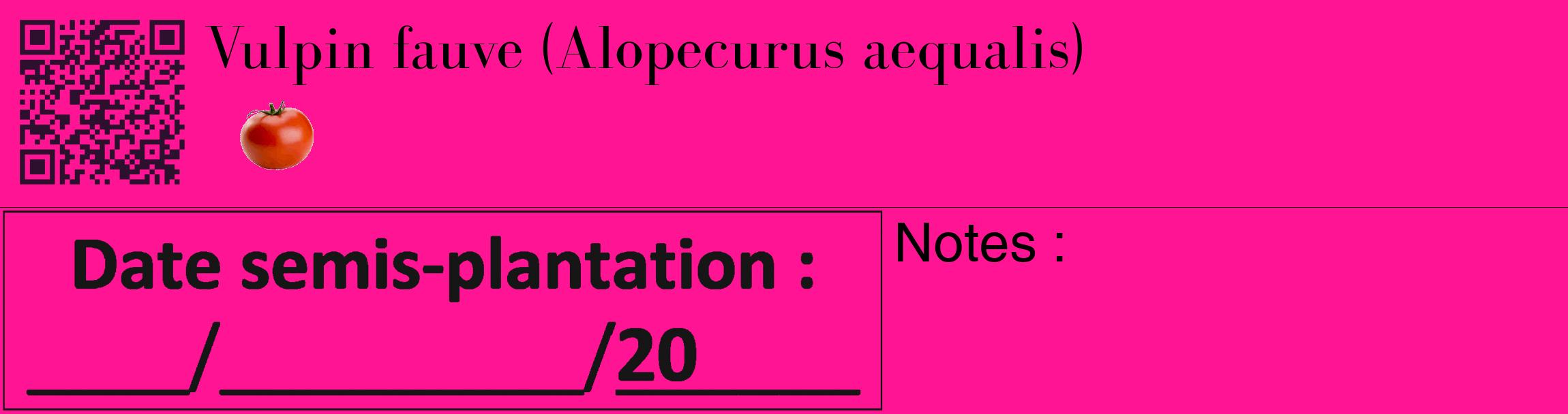 Étiquette de : Alopecurus aequalis - format c - style noire43_basique_basiquebod avec qrcode et comestibilité simplifiée
