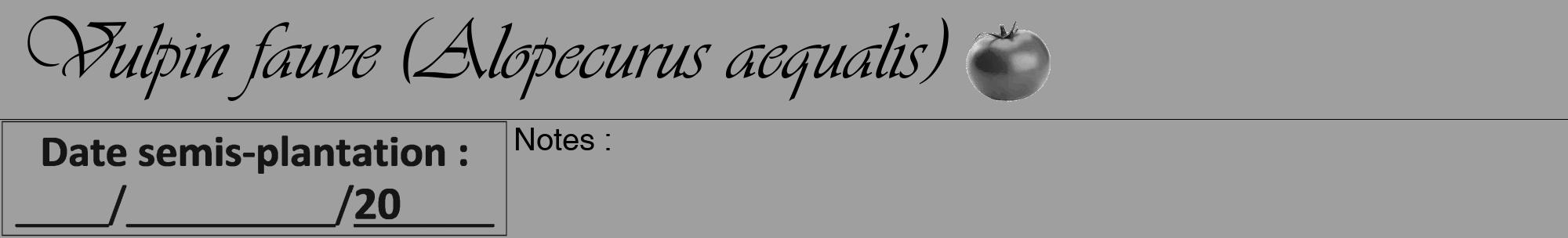 Étiquette de : Alopecurus aequalis - format a - style noire24viv avec comestibilité simplifiée