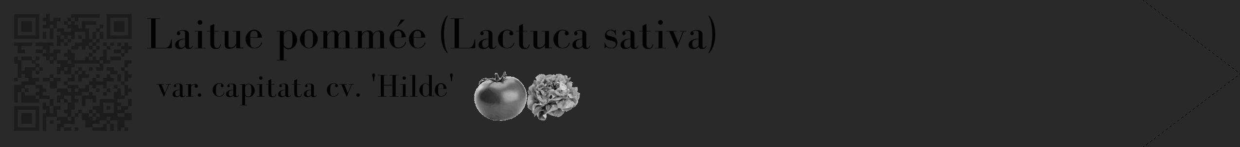 Étiquette de : Lactuca sativa var. capitata cv. 'Hilde' - format c - style noire34_simple_simplebod avec qrcode et comestibilité simplifiée