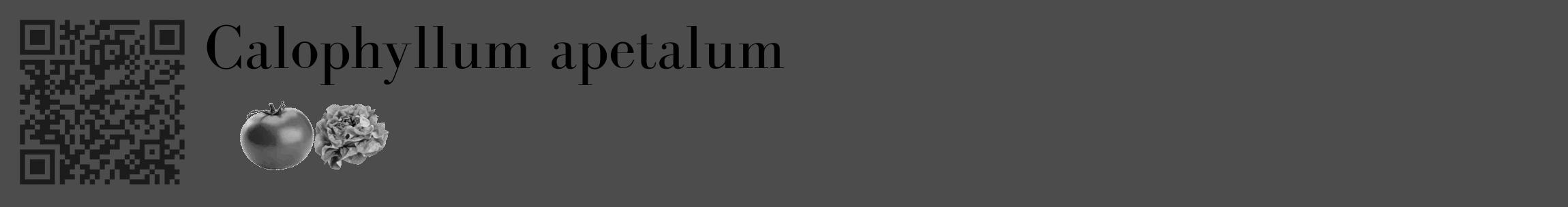 Étiquette de : Calophyllum apetalum - format c - style noire27_basique_basiquebod avec qrcode et comestibilité simplifiée