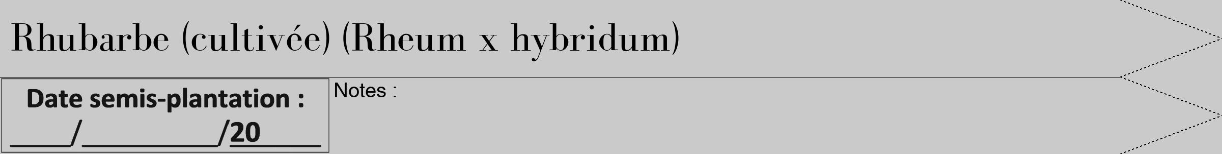 Étiquette de : Rheum x hybridum - format b - style noire21bod avec comestibilité