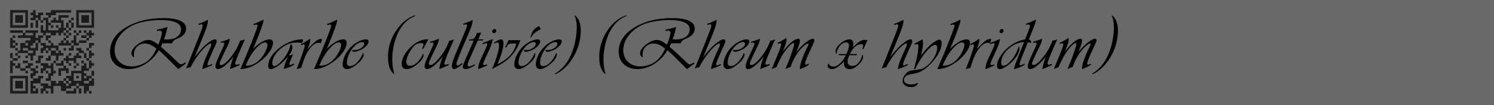 Étiquette de : Rheum x hybridum - format a - style noire51viv avec qrcode et comestibilité