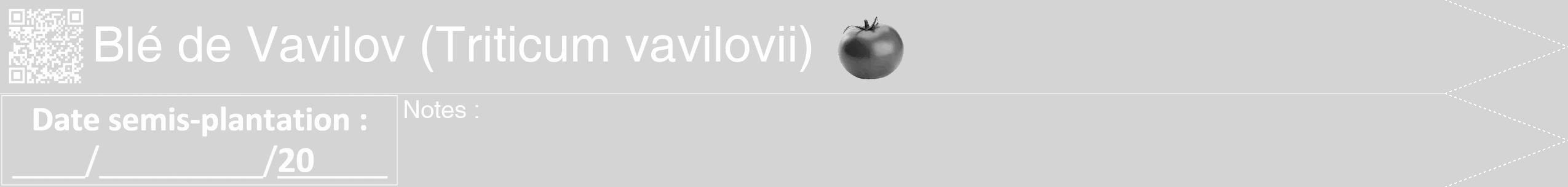 Étiquette de : Triticum vavilovii - format b - style blanche40hel avec qrcode et comestibilité simplifiée