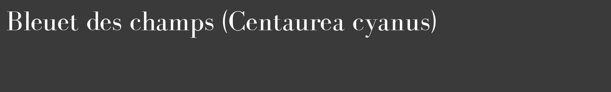Étiquette de : Centaurea cyanus - format c - style blanche8_basique_basiquebod avec comestibilité